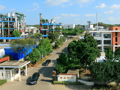 企業全景 